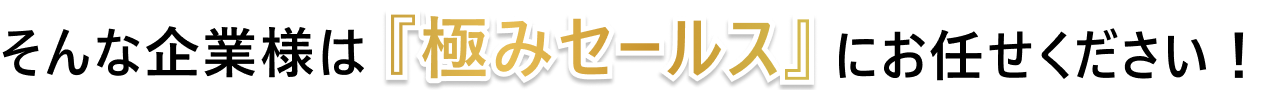 そんな企業様は『極みセールス』にお任せください！