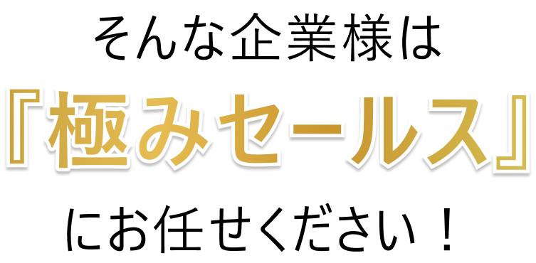 そんな企業様は『極みセールス』にお任せください！