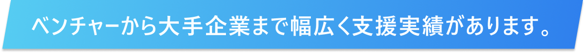 ベンチャーから大手企業まで幅広く支援実績があります。