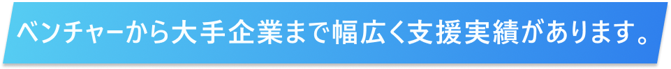 ベンチャーから大手企業まで幅広く支援実績があります。